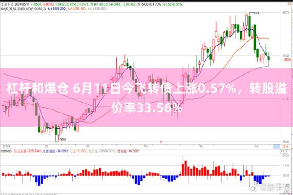 杠杆和爆仓 6月11日今飞转债上涨0.57%，转股溢价率33.56%