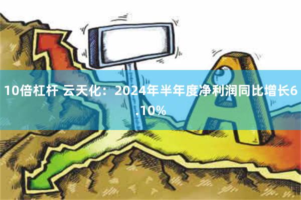 10倍杠杆 云天化：2024年半年度净利润同比增长6.10%