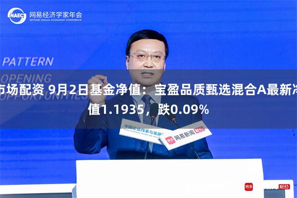 市场配资 9月2日基金净值：宝盈品质甄选混合A最新净值1.1935，跌0.09%