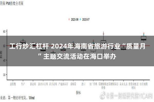 工行炒汇杠杆 2024年海南省旅游行业“质量月”主题交流活动在海口举办