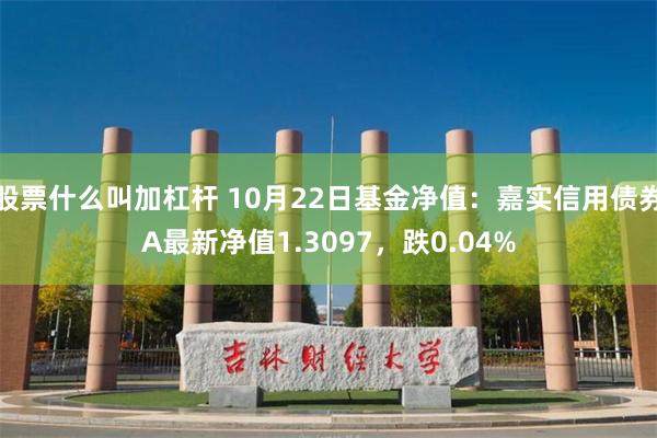 股票什么叫加杠杆 10月22日基金净值：嘉实信用债券A最新净值1.3097，跌0.04%