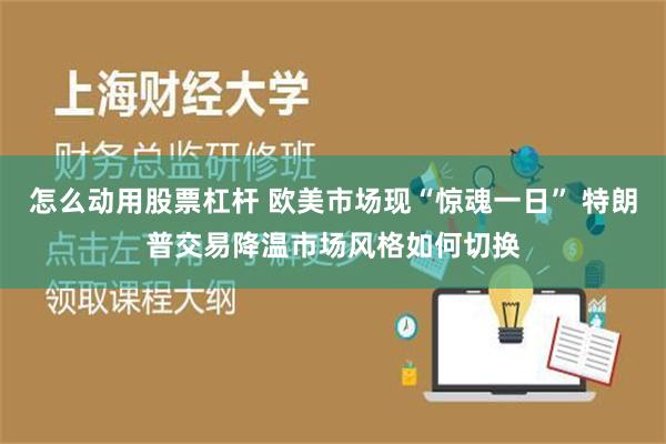 怎么动用股票杠杆 欧美市场现“惊魂一日” 特朗普交易降温市场风格如何切换