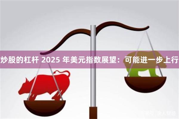 炒股的杠杆 2025 年美元指数展望：可能进一步上行