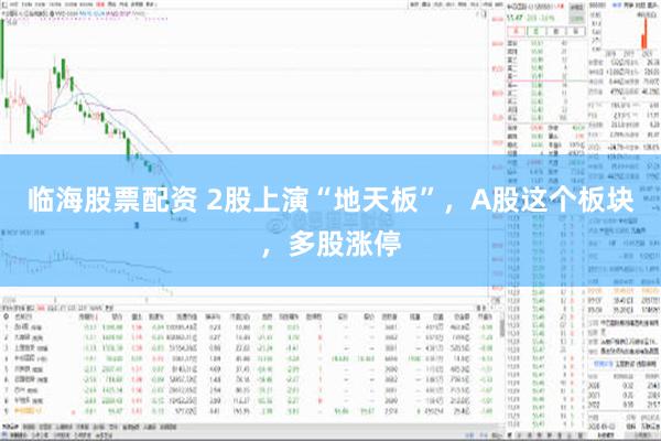临海股票配资 2股上演“地天板”，A股这个板块，多股涨停