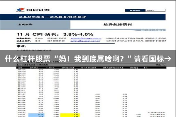 什么杠杆股票 “妈！我到底属啥啊？”请看国标→